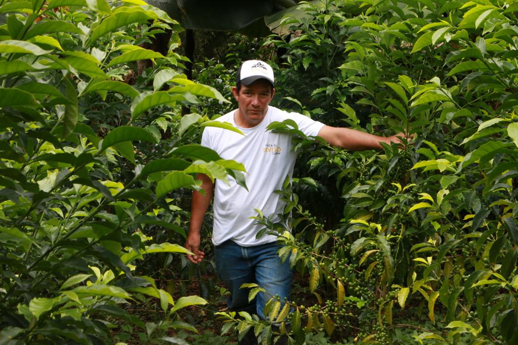Imagen del producto 7