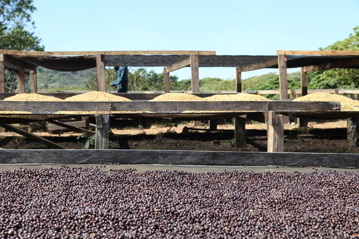 Imagen del producto 12
